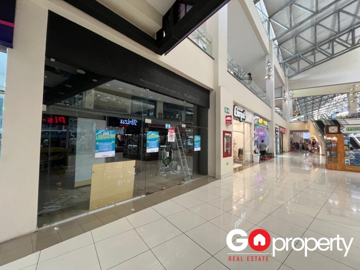 Alquiler de local en 1er piso - Terramall 